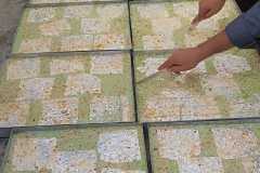 4d754c4f-ba83-43c3-a519-5d53ecc43df5