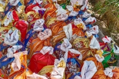 92307571_2476776209252872_3116377383205076992_n