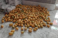 35077522_2006502269613604_5789891269656313856_n