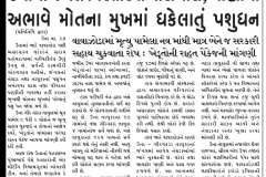 WhatsApp Image 2022-04-02 at 4.07.59 PM (1)