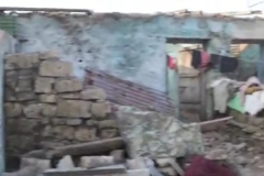 WhatsApp Image 2022-04-02 at 4.08.03 PM (3)