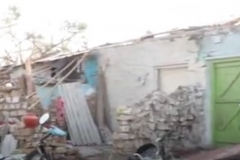 WhatsApp Image 2022-04-02 at 4.08.04 PM (1)